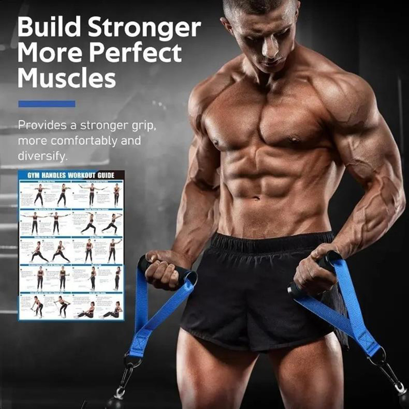 Fitness Cable Pull Handles Com - đánh giá và giá Home Gym Cable