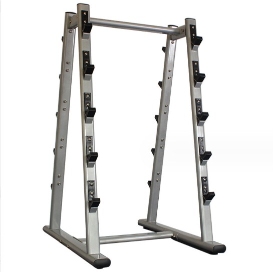 Fixed Barbell Storage Rack Chi - đánh giá và giá Barbell Curl Bar