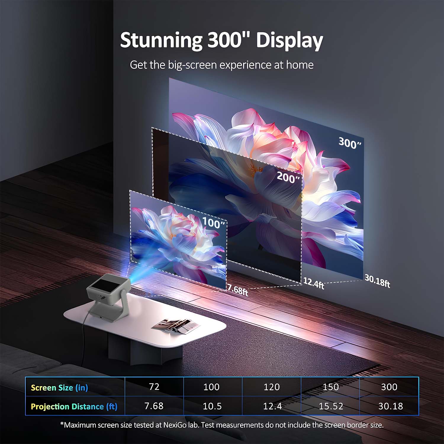 Portable Sports Projector Auto - đánh giá và giá Home Gym Video