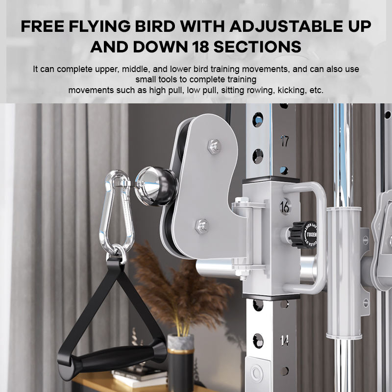 YTYIN Factory Supplier Home Gy - đánh giá và giá Home Gym Leg Machine