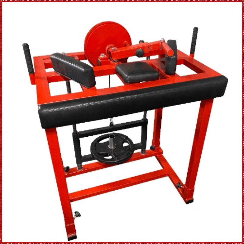 Wrestling Arm Strength Trainin - đánh giá và giá Home Gym Luxury